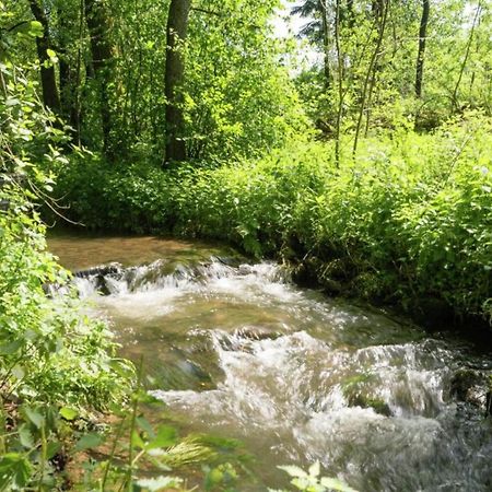 Charming Holiday Home In Malmedy With Sauna Екстериор снимка
