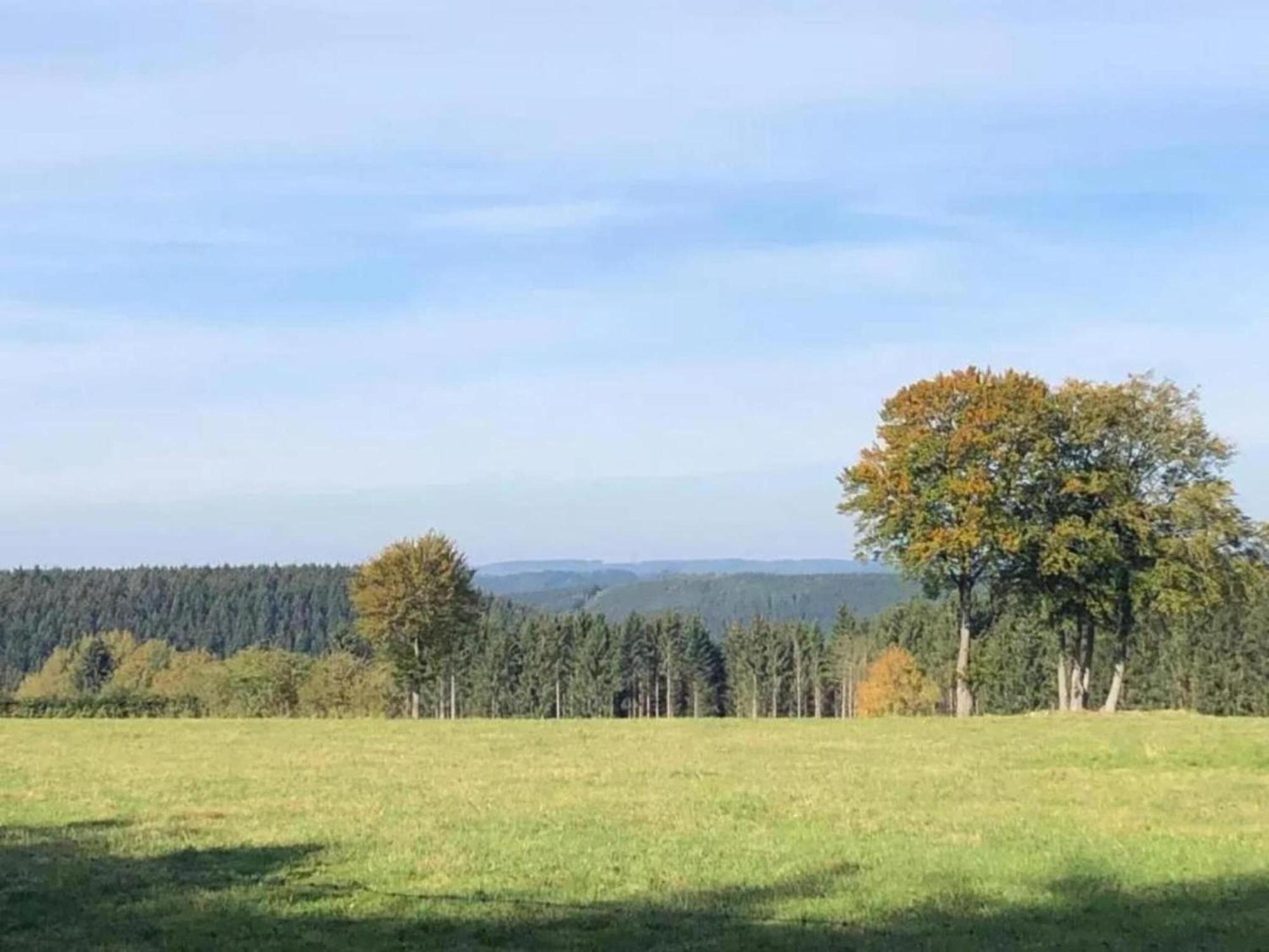 Charming Holiday Home In Malmedy With Sauna Екстериор снимка