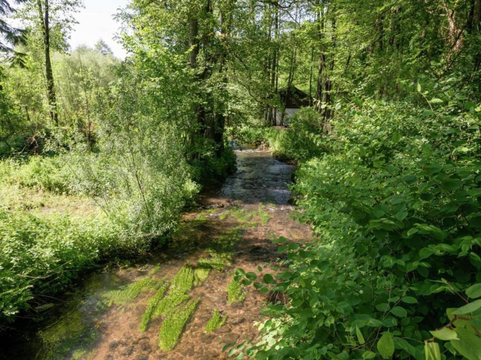Charming Holiday Home In Malmedy With Sauna Екстериор снимка